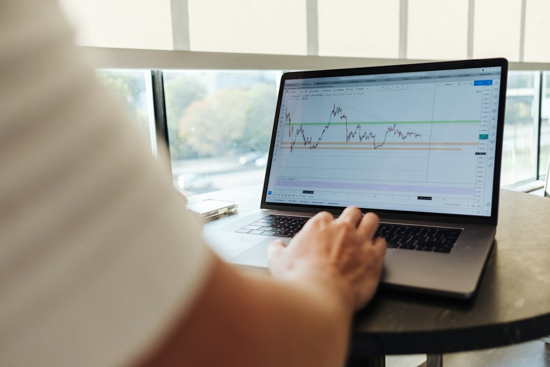 person studying stock market
